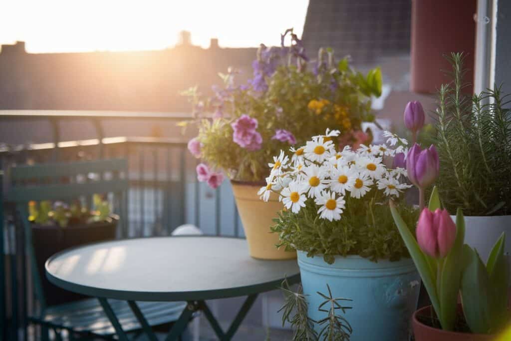 titel Balkonbepflanzung im Fruehling2