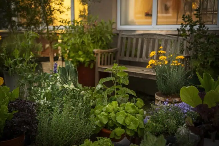 Abendstimmung im Garten – Ruhe genießen zwischen Töpfen