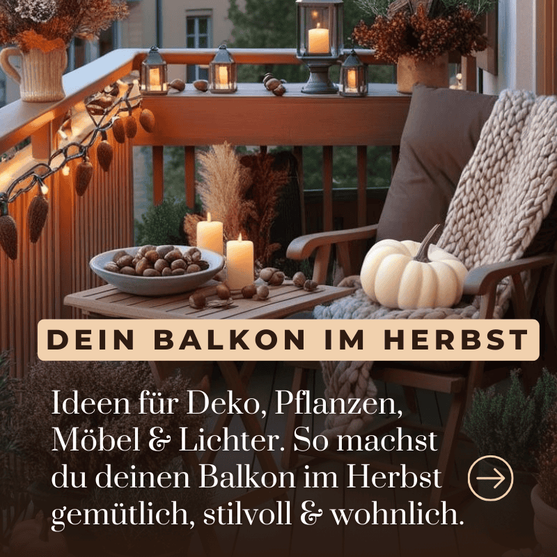 Startseiten Kachel herbst mit Stuhl 2025