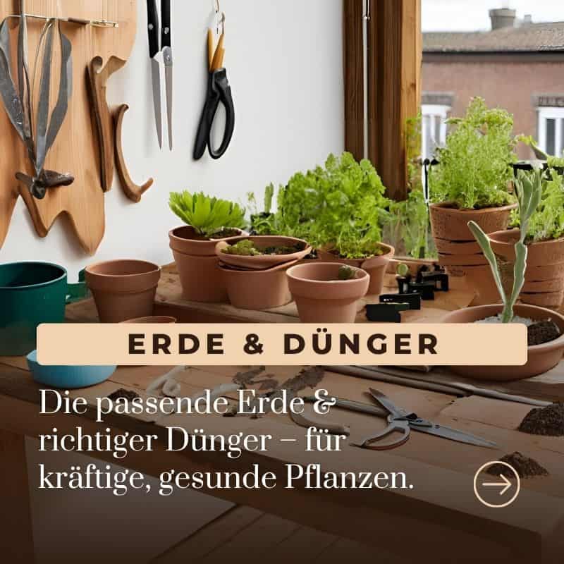 Balkon BASICS Balkon BASIC kacheln erde