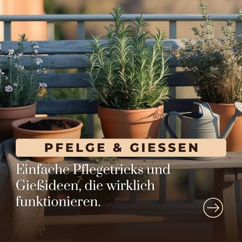 Balkon BASICS Balkon BASIC kacheln pflege