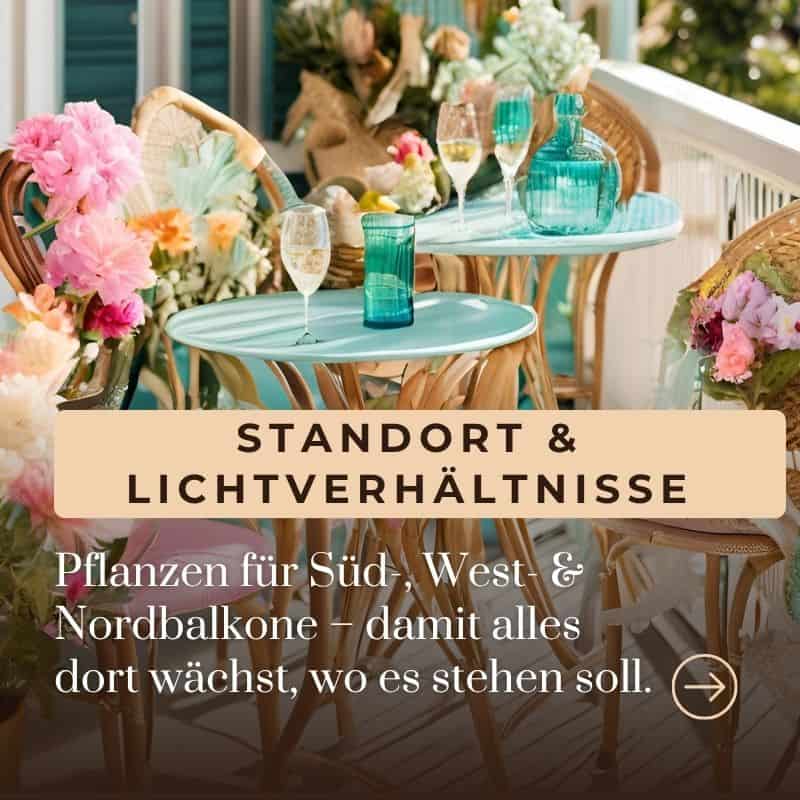 Balkon BASICS Balkon BASIC kacheln strandort