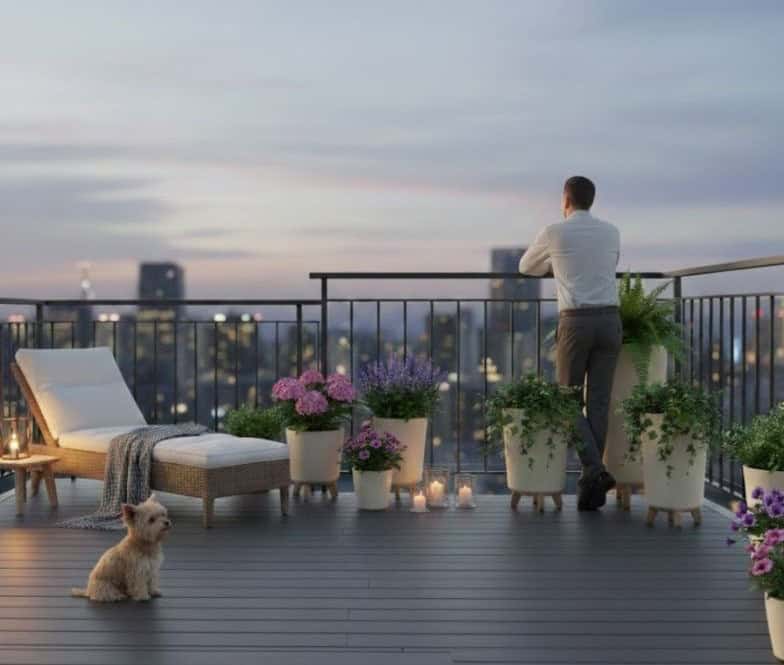 Tiere auf dem Balkon balkon tier mann kuebel hund stadt sommerabend