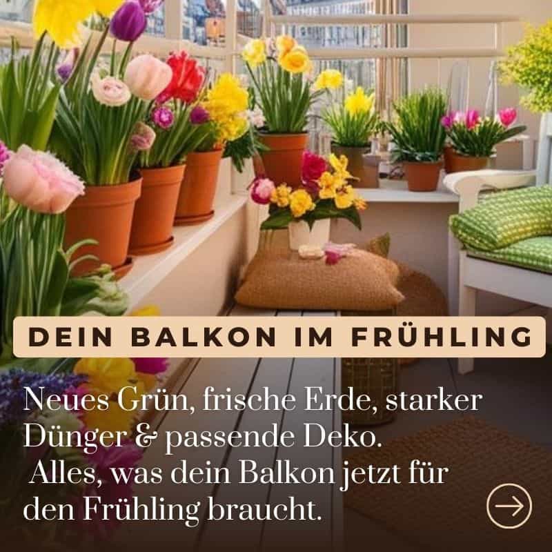 kachel dein balkon im Fruehling 26