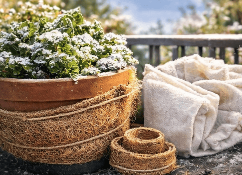 winter gemuese bild 1